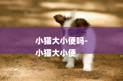 小貓大小便嗎-
小貓大小便