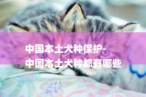 中國本土犬種保護-
中國本土犬種都有哪些