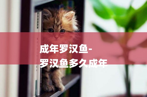 成年羅漢魚-
羅漢魚多久成年