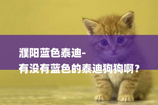 濮陽藍色泰迪-
有沒有藍色的泰迪狗狗啊？