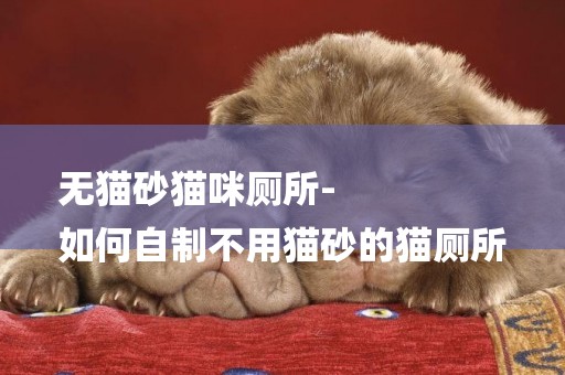 無貓砂貓咪廁所-
如何自制不用貓砂的貓廁所