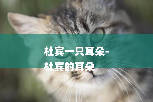 杜賓一只耳朵-
杜賓的耳朵
