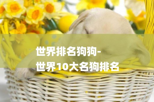 世界排名狗狗-
世界10大名狗排名