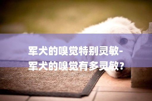 軍犬的嗅覺特別靈敏-
軍犬的嗅覺有多靈敏？