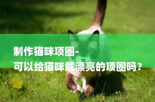 制作貓咪項圈-
可以給貓咪戴漂亮的項圈嗎？