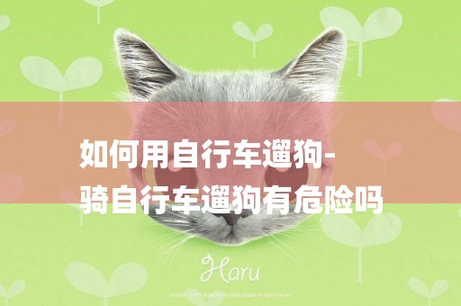 如何用自行車遛狗-
騎自行車遛狗有危險嗎
