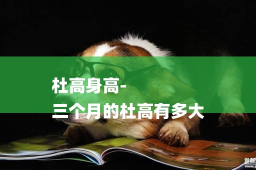 杜高身高-
三個月的杜高有多大
