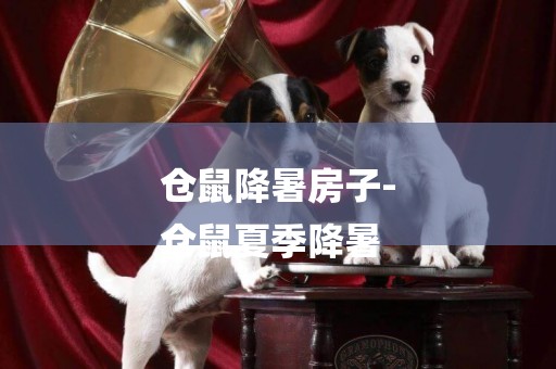 倉鼠降暑房子-
倉鼠夏季降暑