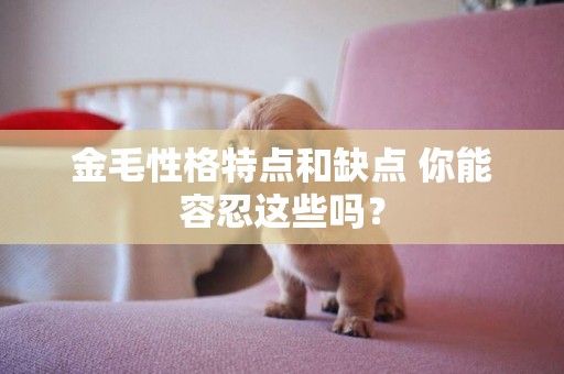 金毛性格特點和缺點 你能容忍這些嗎? 金毛性格特點和缺點 你能容忍這些嗎?