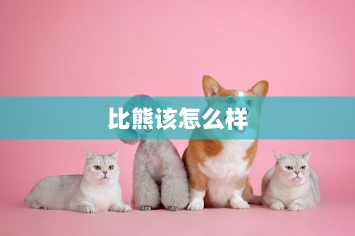 比熊該怎么樣