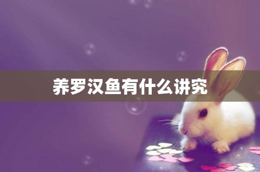 養羅漢魚有什么講究