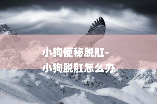 小狗便秘脫肛-
小狗脫肛怎么辦