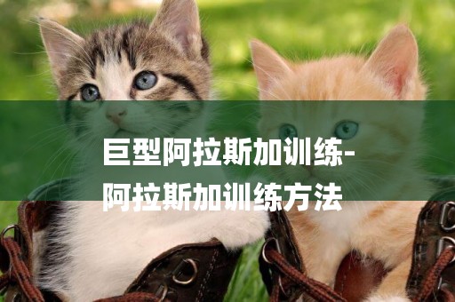 巨型阿拉斯加訓練-
阿拉斯加訓練方法