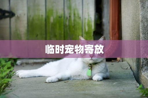 臨時寵物寄放