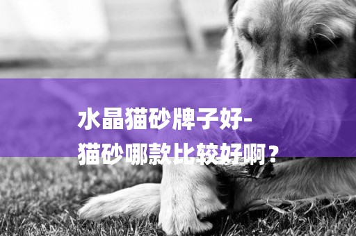 水晶貓砂牌子好-
貓砂哪款比較好啊？