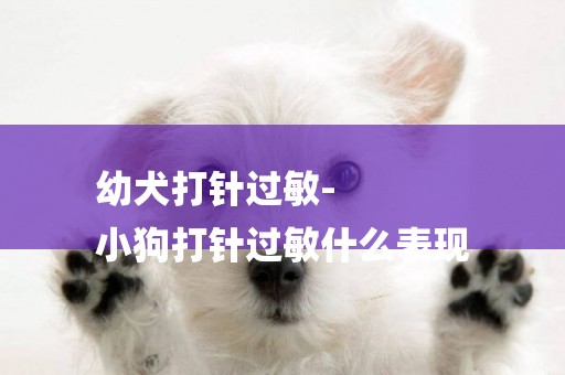 幼犬打針過敏-
小狗打針過敏什么表現