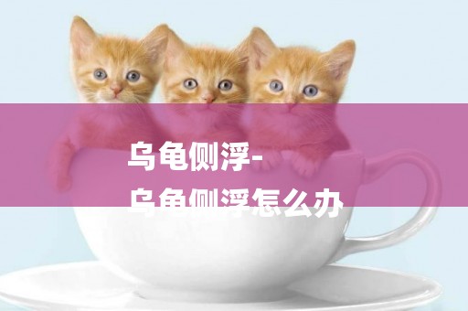 烏龜側浮-
烏龜側浮怎么辦