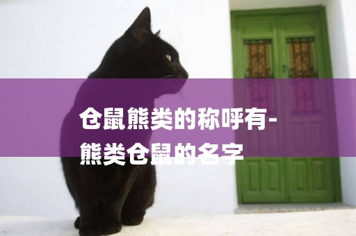 倉鼠熊類的稱呼有-
熊類倉鼠的名字