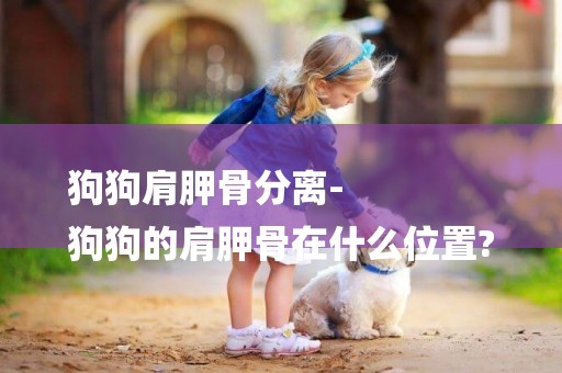 狗狗肩胛骨分離-
狗狗的肩胛骨在什么位置?