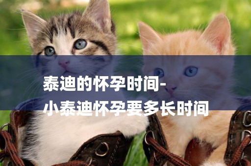 泰迪的懷孕時間-
小泰迪懷孕要多長時間