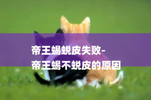 帝王蝎蛻皮失敗-
帝王蝎不蛻皮的原因