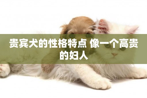 貴賓犬的性格特點 像一個高貴的婦人