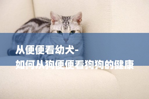 從便便看幼犬-
如何從狗便便看狗狗的健康