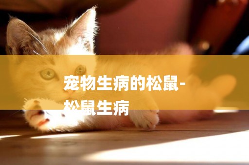 寵物生病的松鼠-
松鼠生病