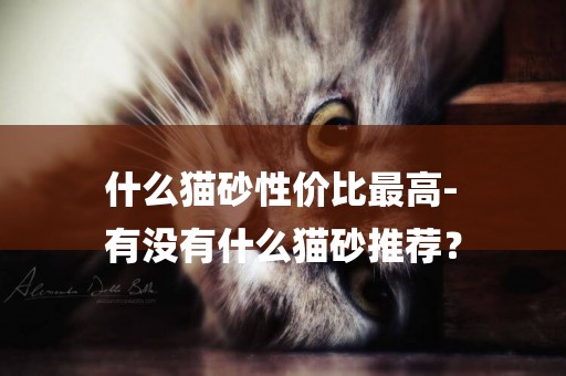 什么貓砂性價比最高-
有沒有什么貓砂推薦？