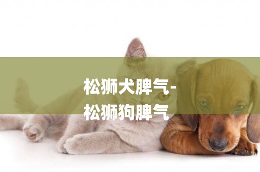 松獅犬脾氣-
松獅狗脾氣