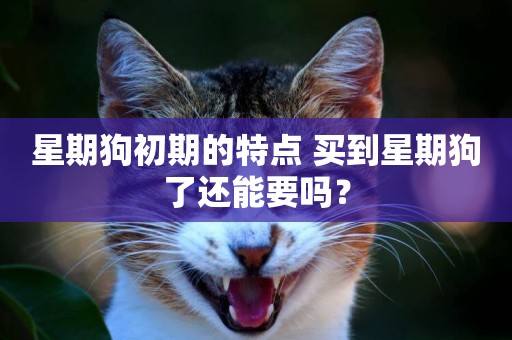 星期狗初期的特點 買到星期狗了還能要嗎？