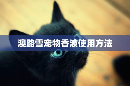 澳路雪寵物香波使用方法