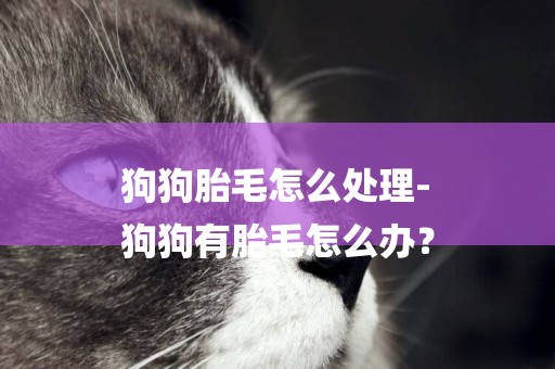 狗狗胎毛怎么處理-
狗狗有胎毛怎么辦？