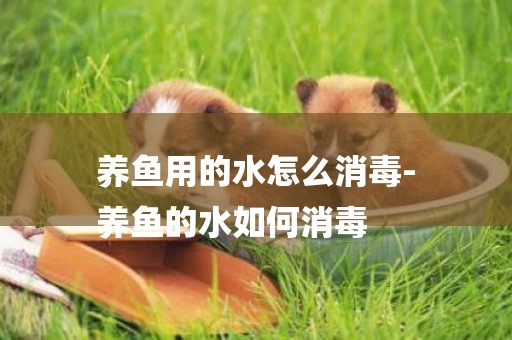 養魚用的水怎么消毒-
養魚的水如何消毒