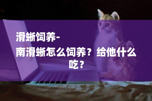 滑蜥飼養-
南滑蜥怎么飼養？給他什么吃？