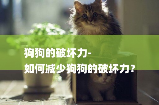 狗狗的破壞力-
如何減少狗狗的破壞力？