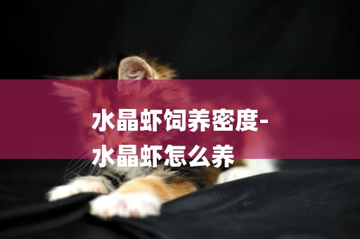 水晶蝦飼養密度-
水晶蝦怎么養