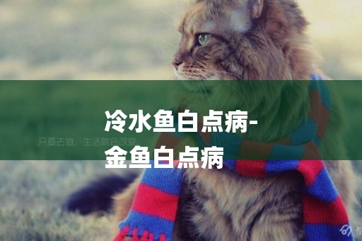 冷水魚白點病-
金魚白點病
