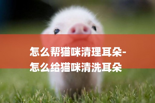 怎么幫貓咪清理耳朵-
怎么給貓咪清洗耳朵