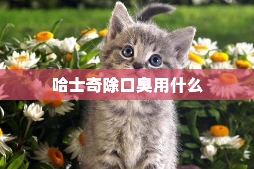 哈士奇除口臭用什么