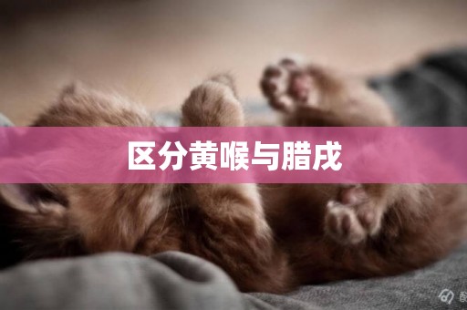 區分黃喉與臘戌