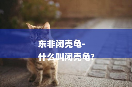 東非閉殼龜-
什么叫閉殼龜?