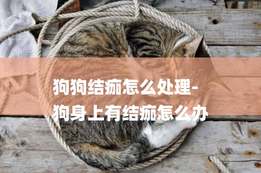 狗狗結痂怎么處理-
狗身上有結痂怎么辦
