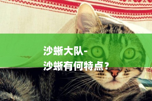 沙蜥大隊-
沙蜥有何特點？