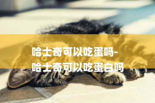 哈士奇可以吃蛋嗎-
哈士奇可以吃蛋白嗎