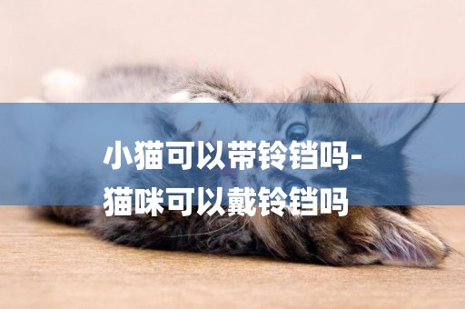 小貓可以帶鈴鐺嗎-
貓咪可以戴鈴鐺嗎