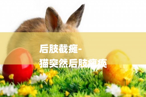 后肢截癱-
貓突然后肢癱瘓