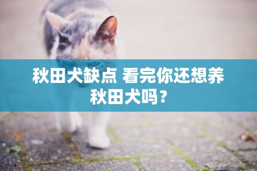 秋田犬缺點 看完你還想養秋田犬嗎？