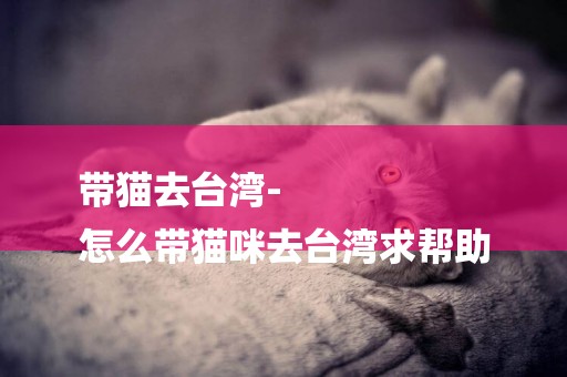 帶貓去臺灣-
怎么帶貓咪去臺灣求幫助