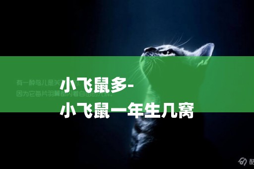 小飛鼠多-
小飛鼠一年生幾窩